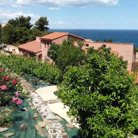 Roxane F1 Bis Face La * Collioure